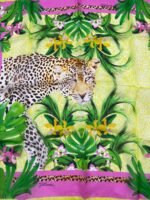 JUST CAVALLI – Image 2