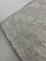 CAVALLI – Image 2
