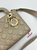 DIOR – Image 2